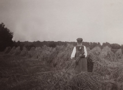 Landwirt 1926, bei der Ernte