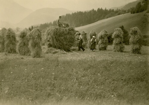 Abtenau 1944, Landwirt bei der Heuernte