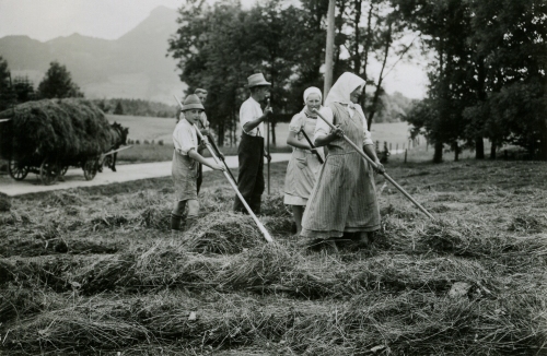 Landwirt, 1920er Jahre