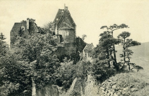 Schönbühel-Aggsbach 1914, Ruine Aggstein an der Donau
